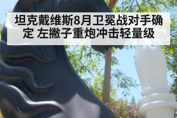 坦克戴维斯8月卫冕战对手确定 左撇子重炮冲击轻量级